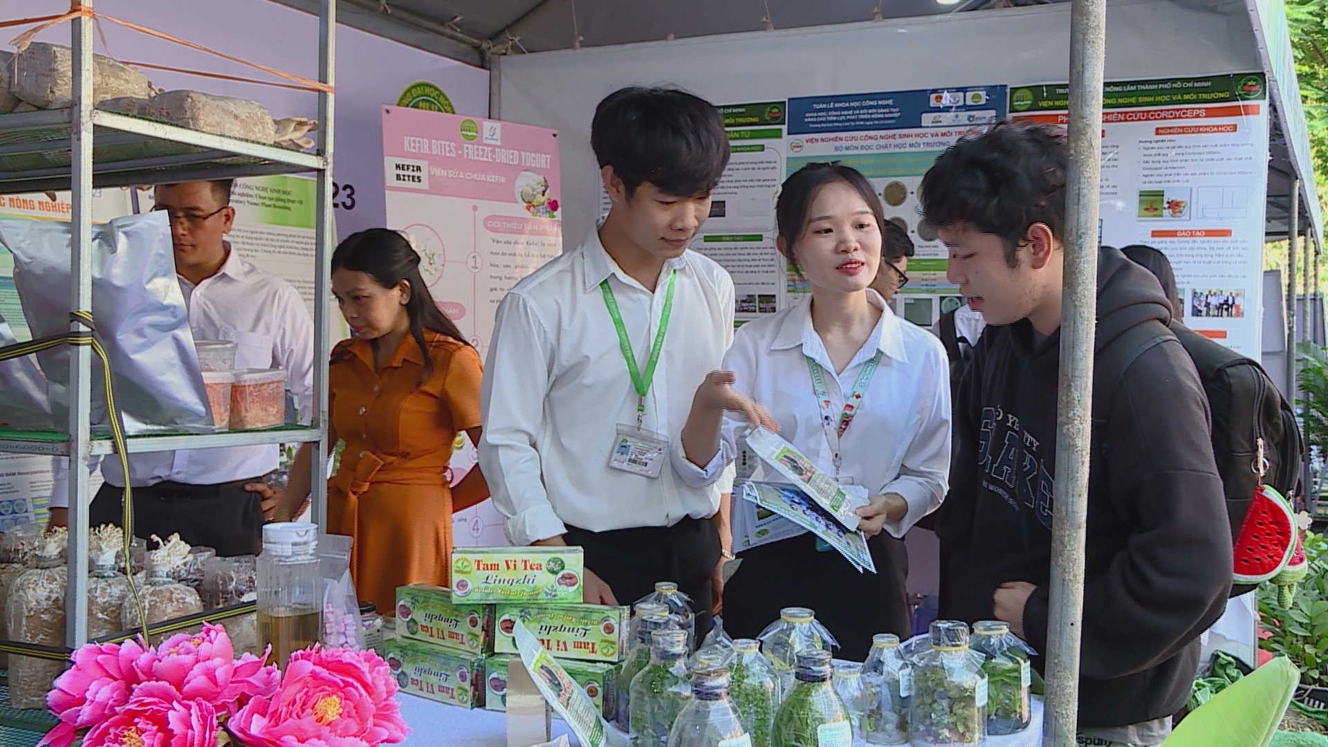 Dư địa lớn cho HTX khởi nghiệp từ nông nghiệp