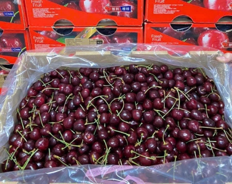Cherry Chile rao bán ngập chợ mạng, chỉ hơn 100 nghìn một kg