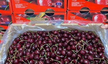 Cherry Chile rao bán ngập chợ mạng, chỉ hơn 100 nghìn một kg