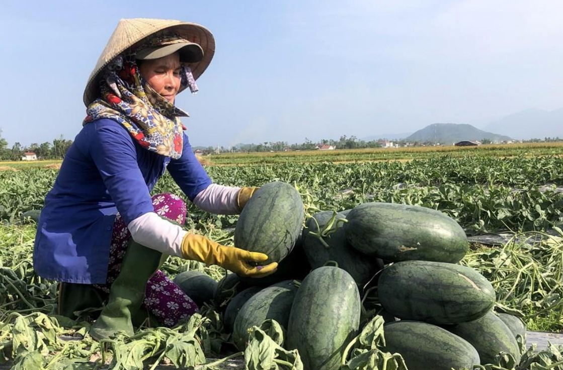 HTX trước nỗi lo về thị trường