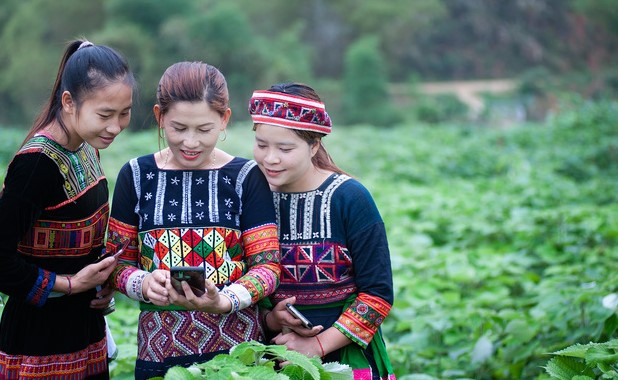 Chợ trực tuyến mở 'cánh cửa' tiêu thụ nông sản cho HTX