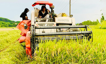 Nông dân Hà Tĩnh &#039;hái ra tiền&#039; nhờ đa hướng phát triển kinh tế