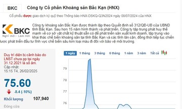 Cổ phiếu BKC giảm kịch sàn phiên thứ 2 liên tiếp sau tăng ‘nóng’ hơn 500%