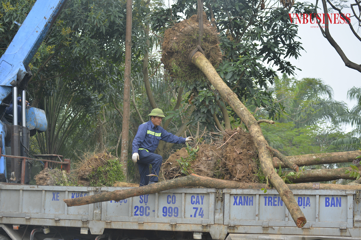 Công viên Cầu Giấy đang được “thay áo mới” sau nhiều năm xuống cấp
