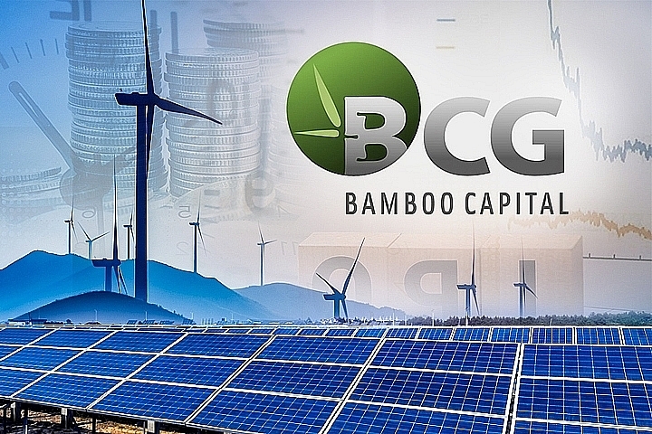 Nhà đầu tư tháo chạy, cổ phiếu ‘họ’ Bamboo Capital giảm sàn la liệt