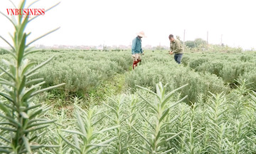 Nông dân &#039;đất lúa&#039; khởi nghiệp thu trăm triệu với những mô hình hay