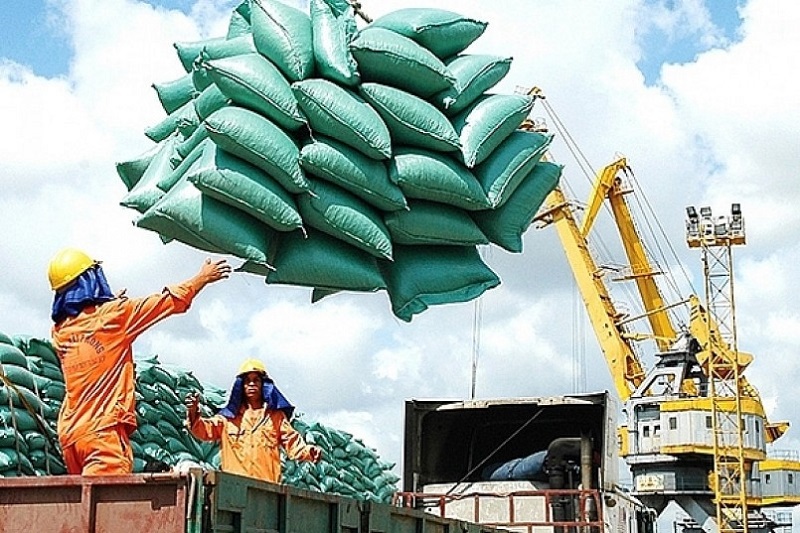 Đề xuất loạt giải pháp gỡ khó thị trường lúa gạo