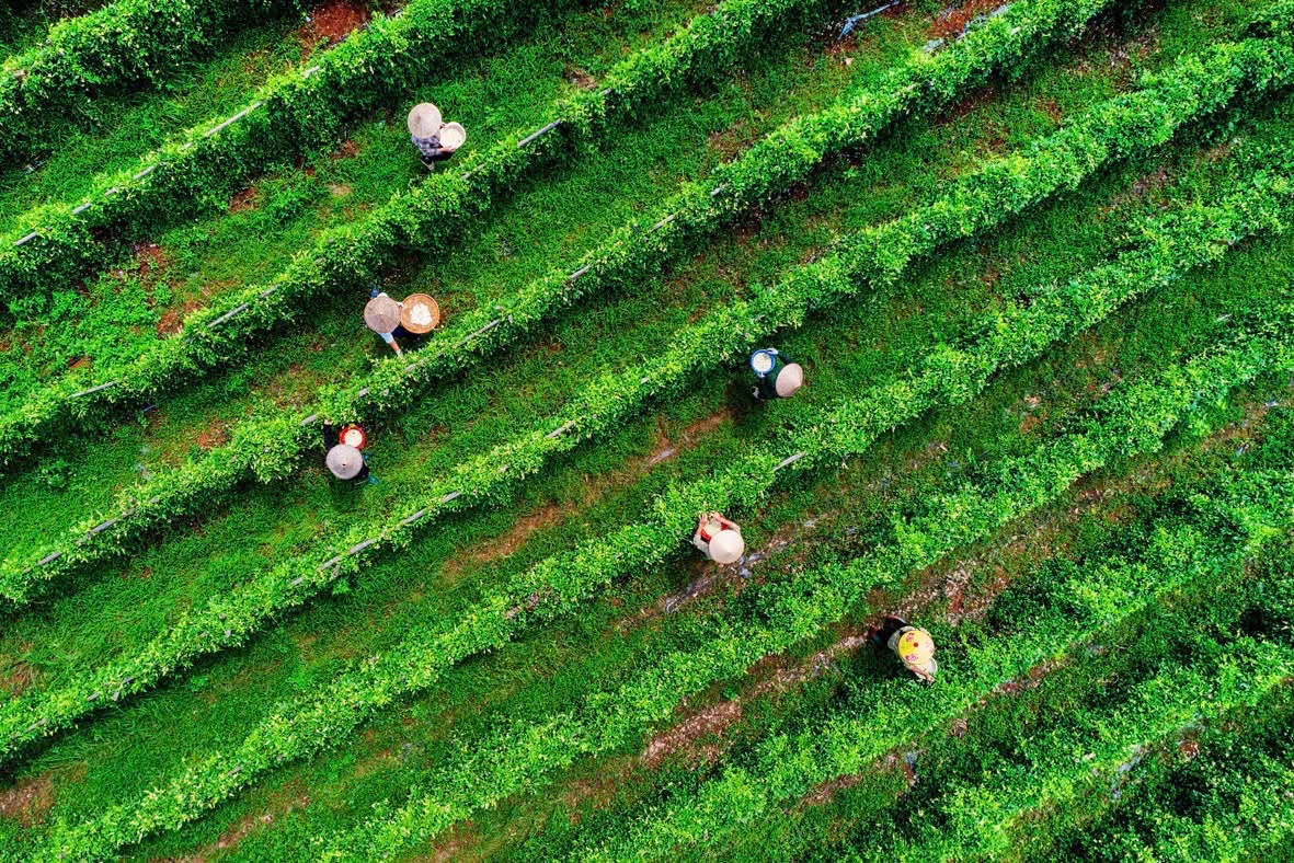 Cởi 'nút thắt' trong Luật Phá sản cho khu vực kinh tế HTX