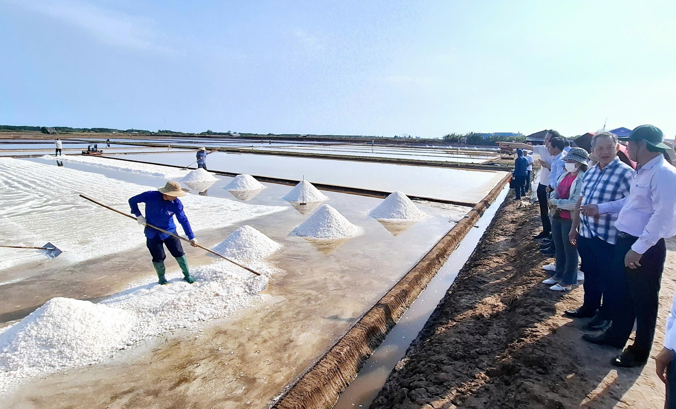 Đoàn công tác Liên minh HTX Việt Nam thăm và làm việc với HTX muối công nghệ cao tại Bạc Liêu