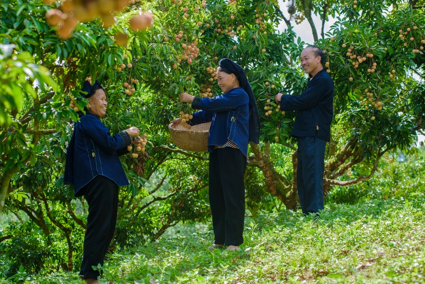 Giữ nghề truyền thống nhờ đưa nông đặc sản lên chợ mạng