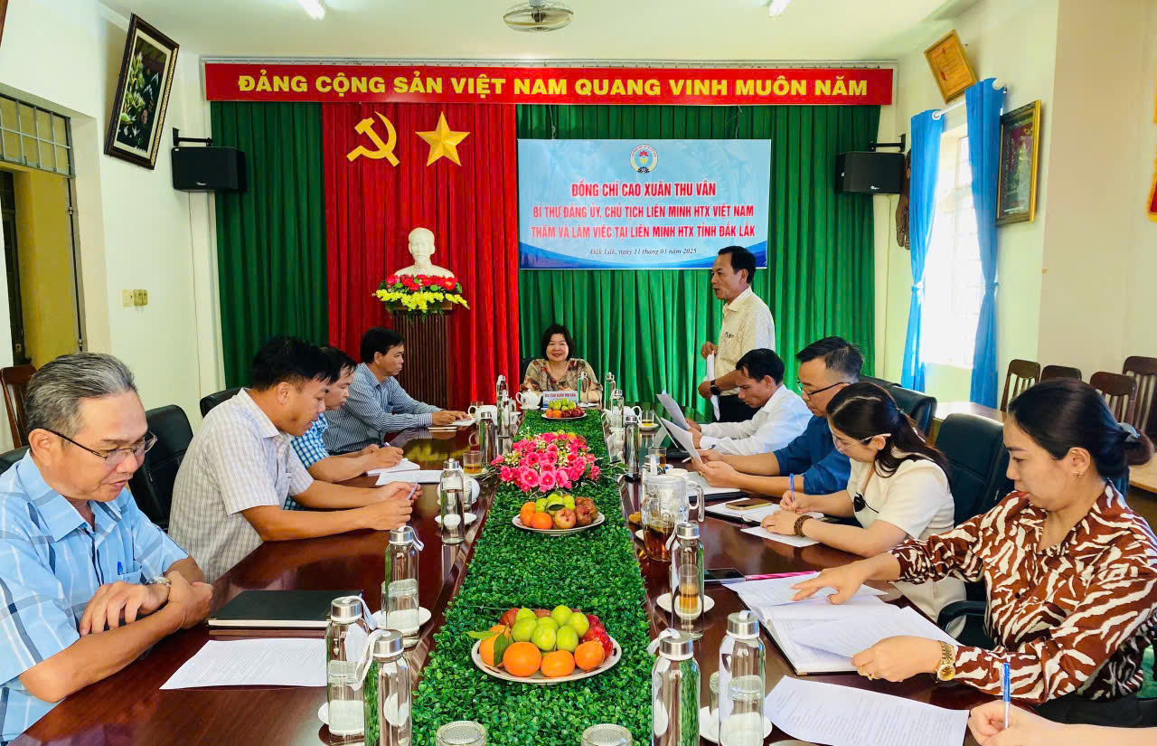 Liên minh HTX tỉnh Đắk Lắk phát huy vai trò 'bà đỡ' cho HTX