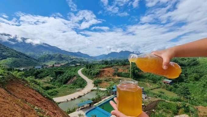 Mật ngọt giảm nghèo nơi thượng nguồn sông Đà
