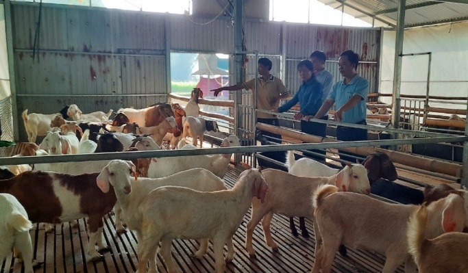 Phát triển HTX là khâu đột phá kinh tế ở huyện nghèo xứ Tuyên