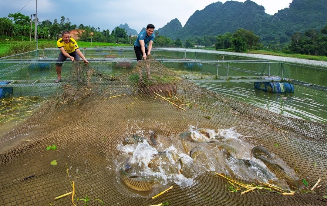 Những 'cánh tay nối dài' trong công cuộc giảm nghèo ở Lạng Sơn