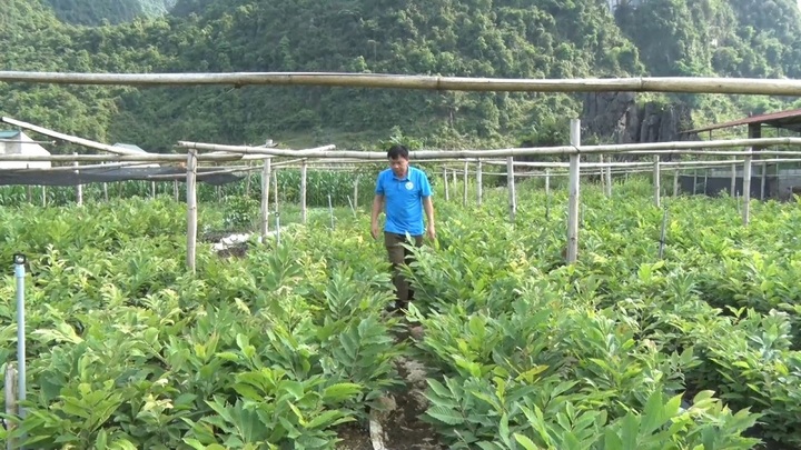Nỗ lực giảm nghèo ở huyện vùng biên Trùng Khánh