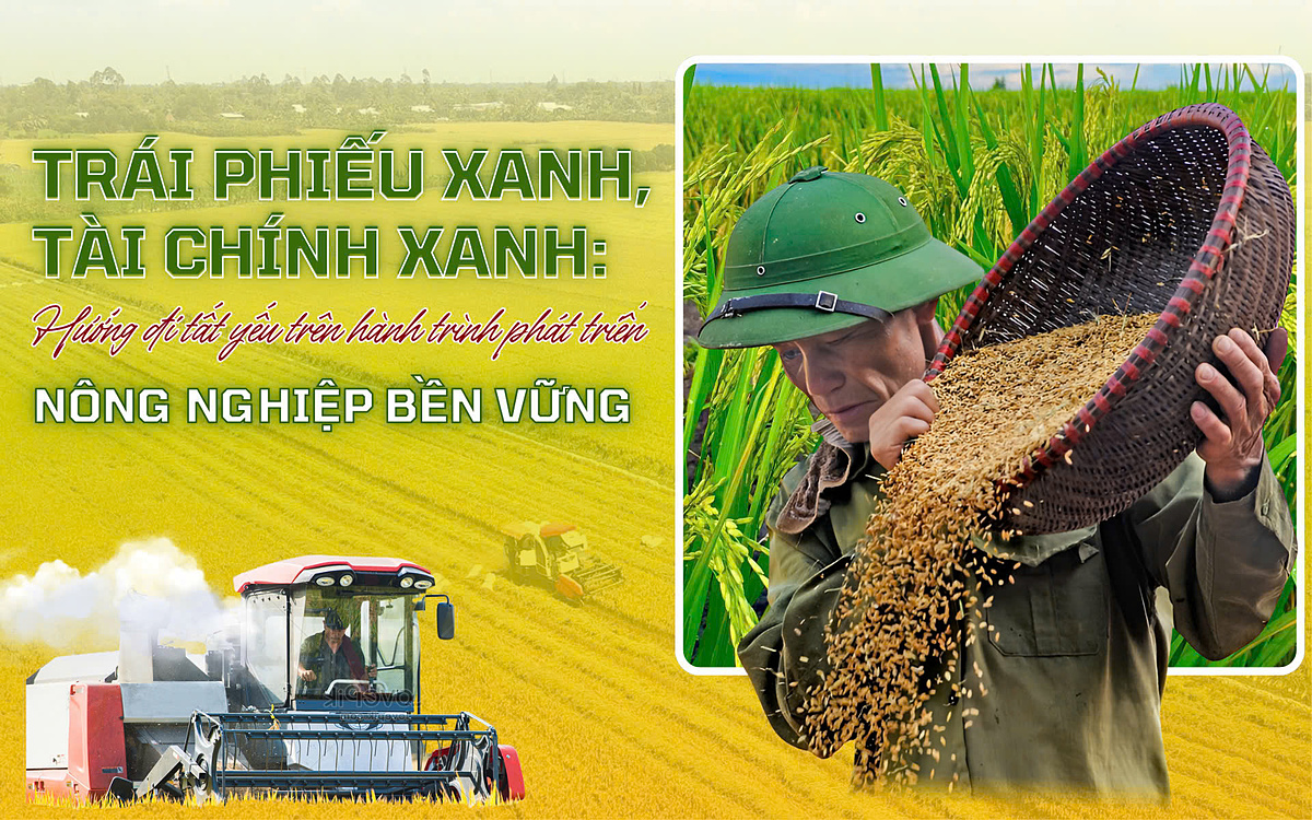 Trái phiếu xanh, tài chính xanh: Hướng đi tất yếu trên hành trình phát triển nông nghiệp bền vững