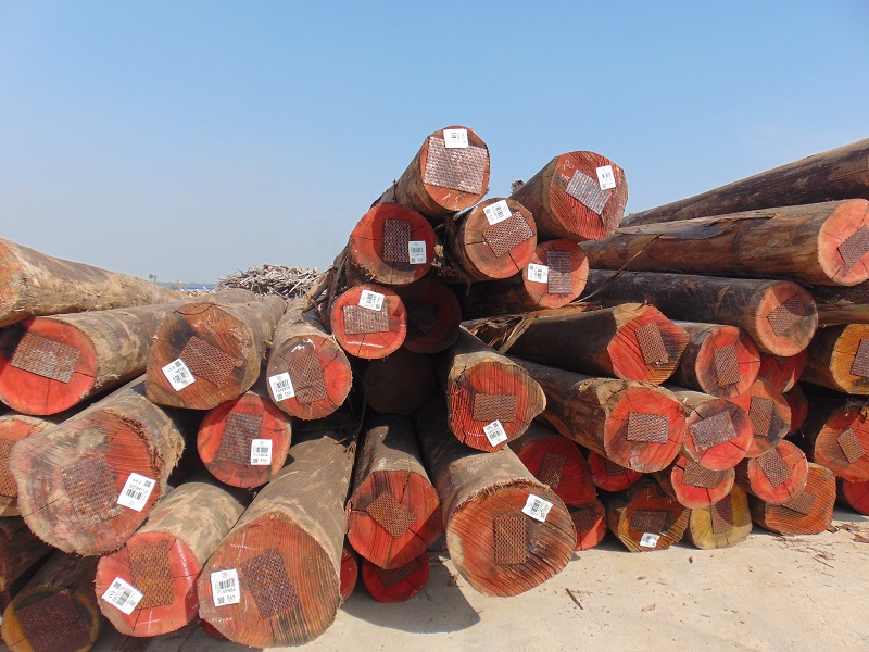 Gỗ và nhiều mặt hàng nông sản được giảm thuế nhập khẩu về 0%: Tác động ra sao tới thị trường trong nước?