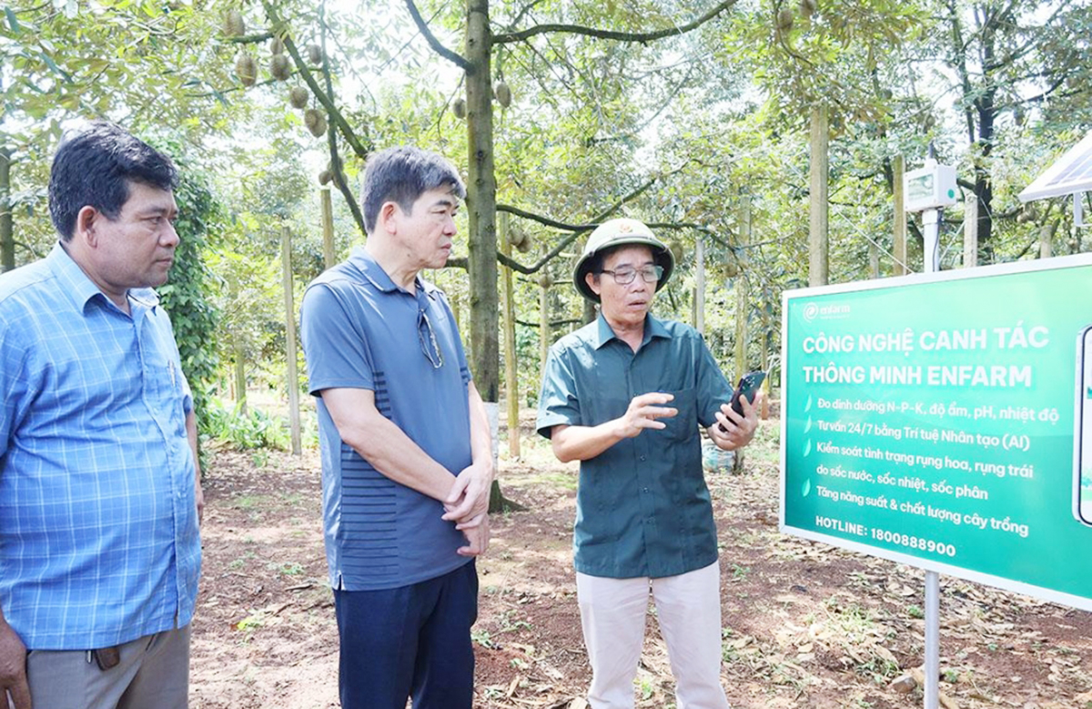 Từ nỗ lực số hóa đến bí kíp thu tiền tỷ của người dân tộc thiểu số ở ‘thủ phủ sầu riêng’ tỉnh Đắk Lắk