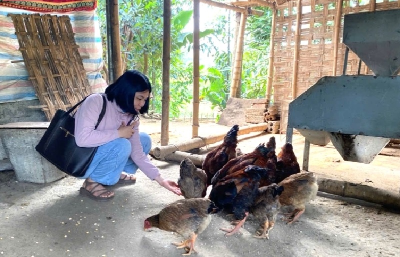 Chăn nuôi mô hình gia trại, người dân huyện nghèo “bỏ túi” cả trăm triệu đồng mỗi năm