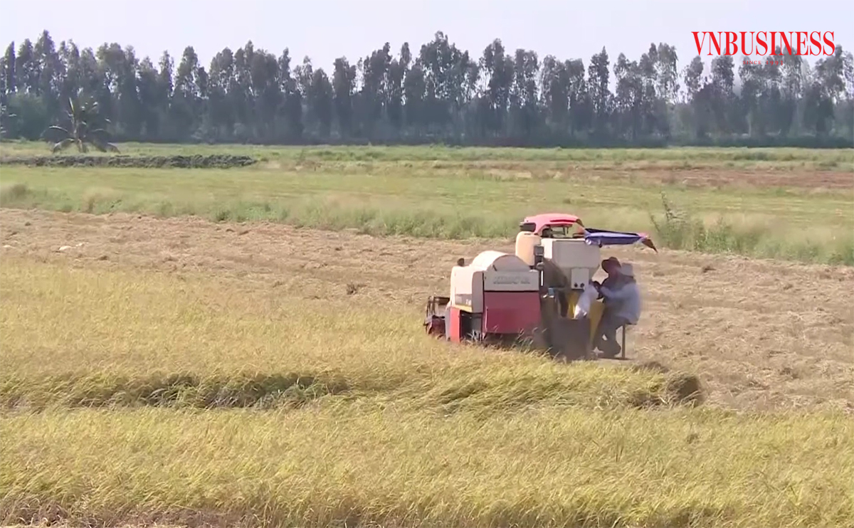 Những ‘đầu tàu’ giúp nông dân Long An làm giàu