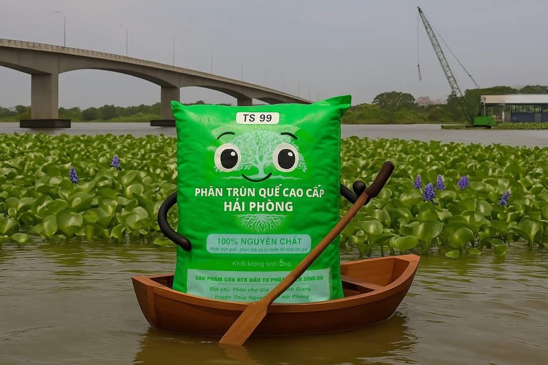 HTX biến phụ phẩm thành “vàng”, góp phần kiến tạo nền nông nghiệp tuần hoàn