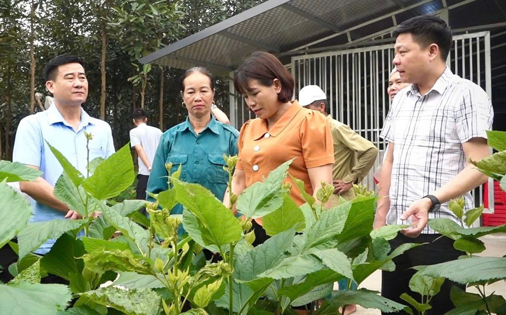 Văn Yên phát triển HTX, xóa đói giảm nghèo