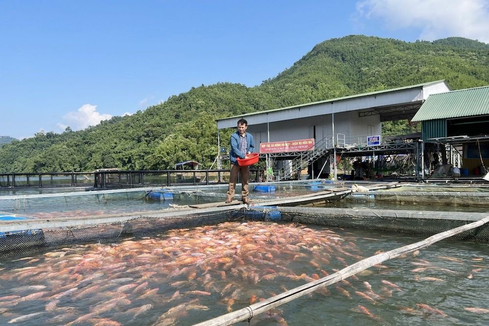 Khơi dậy khát vọng làm giàu của đồng bào dân tộc thiểu số ở Nghệ An