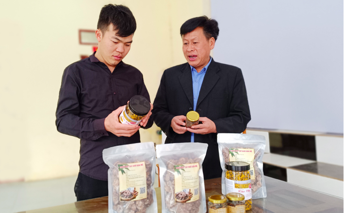 HTX ở Si Ma Cai nỗ lực nâng cao thu nhập cho người dân