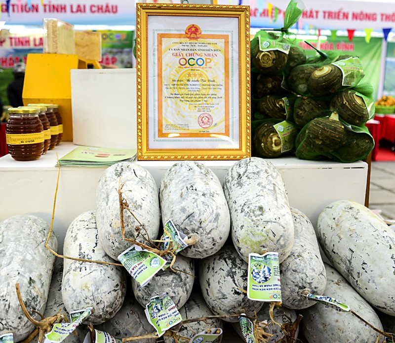 Vùng cao Tìa Dình khởi sắc từ loại cây ‘không cần chăm sóc’