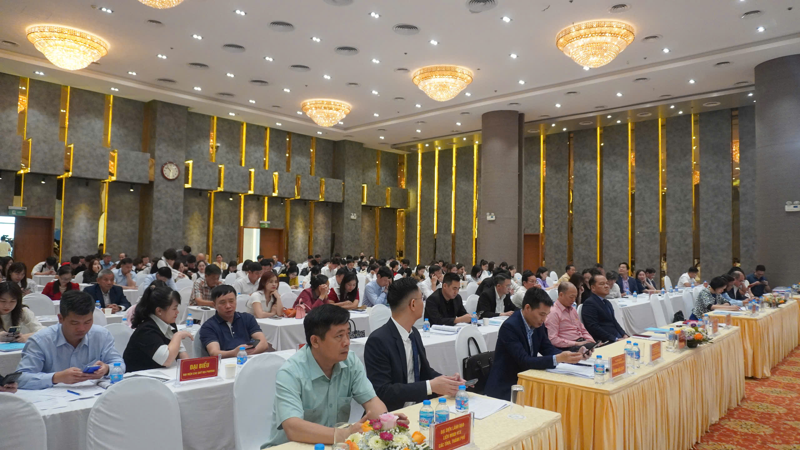 Tiếp cận vốn: ‘Chìa khóa’ mở cánh cửa phát triển cho HTX