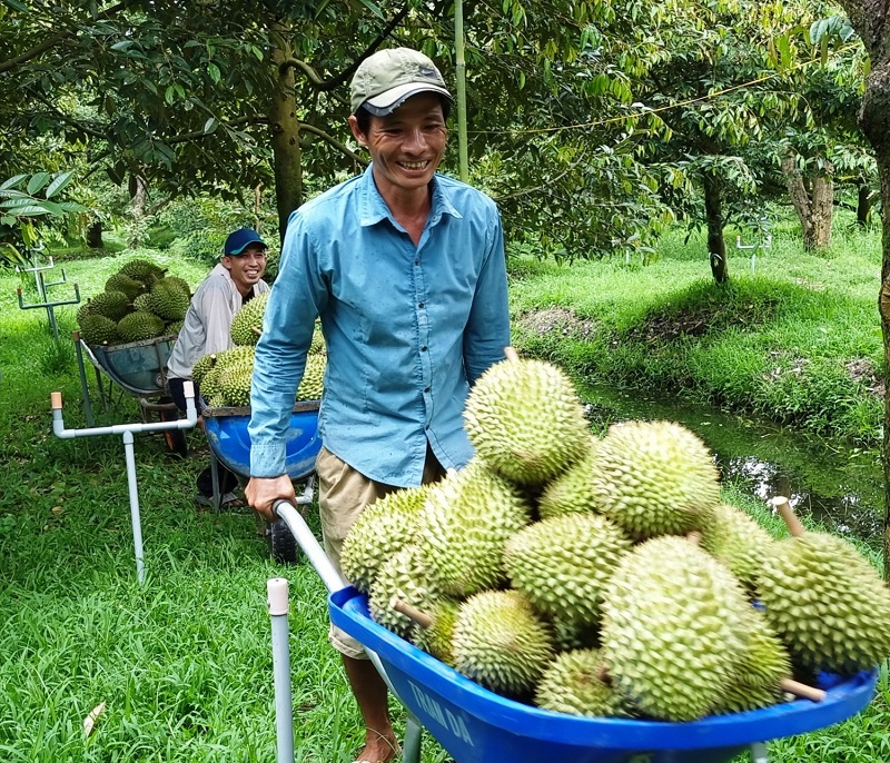 Tăng cường liên kết, tuân thủ các tiêu chuẩn kiểm định là 