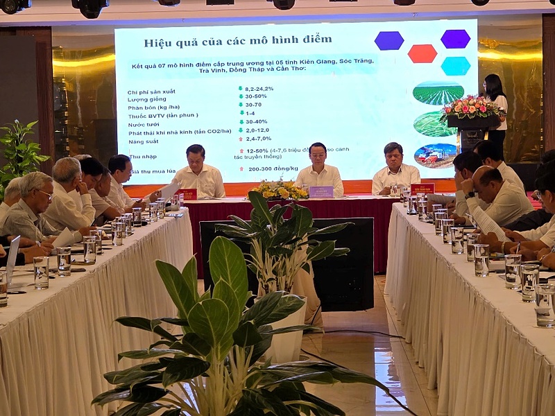 Ngân hàng đã sẵn sàng và có đủ nguồn vốn để cho vay đối với Đề án 1 triệu hecta lúa chất lượng cao