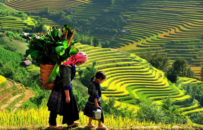 Du lịch đưa 'làn gió mới' đến vùng núi nghèo Mù Cang Chải