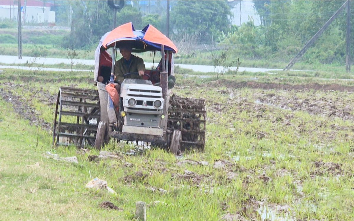 Từ cánh đồng xanh mướt đến những vụ mùa ‘tiền đầy túi’ của nông dân Hà Nam