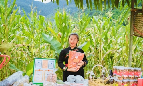 Thay đổi tư duy sản xuất để vươn lên thoát nghèo ở Pác Nặm