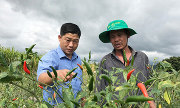 Kông Chro phát huy sức mạnh tập thể để giảm nghèo