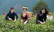 Kinh tế du lịch mang &#039;nắng ấm&#039; cho vùng đất biên cương