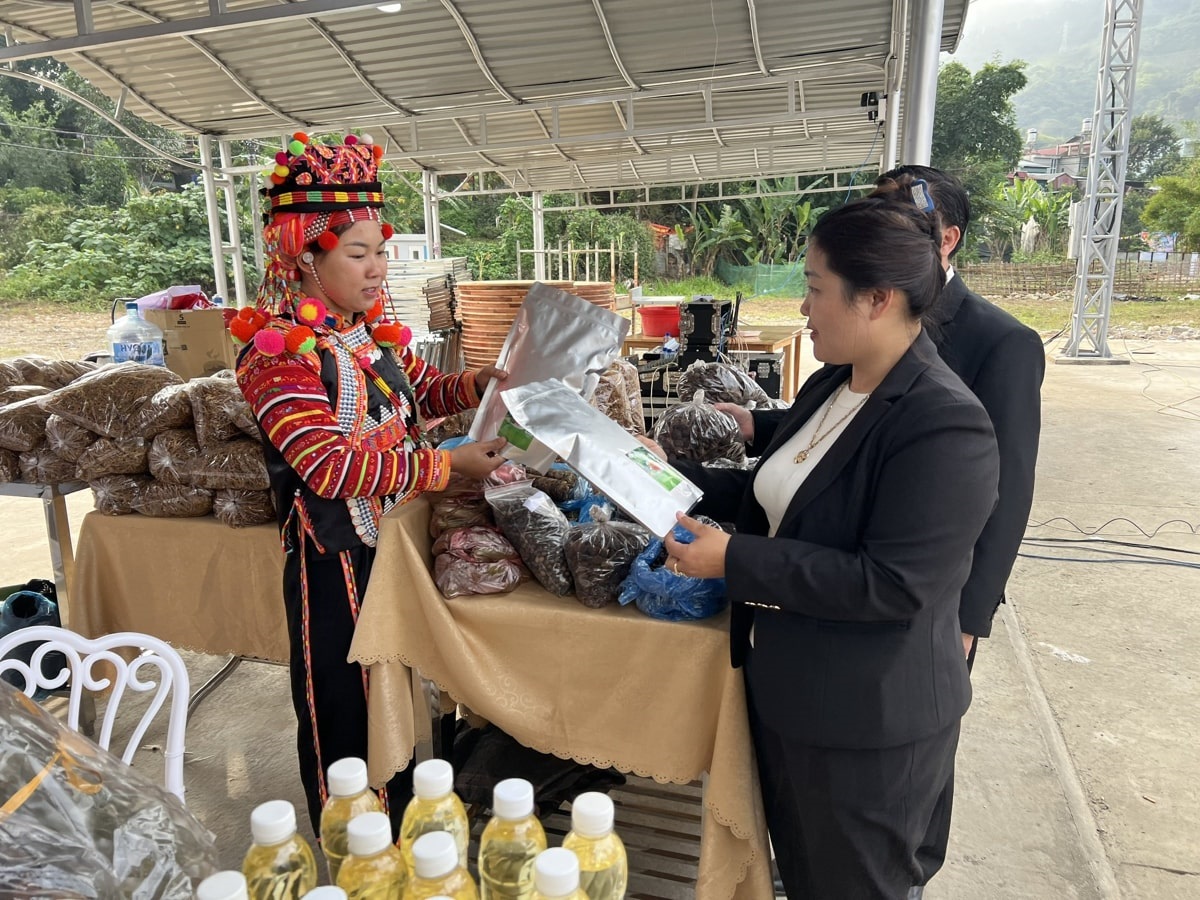 HTX mở hướng thoát nghèo ở vùng 