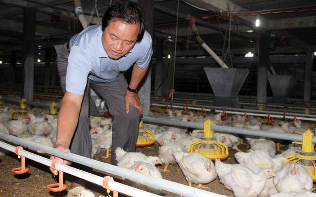 'Dệt lưới an sinh', xóa vết nghèo bằng sức mạnh HTX