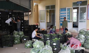 Mô hình kinh tế tập thể giúp người nông dân Đồng Tháp thoát nghèo bền vững