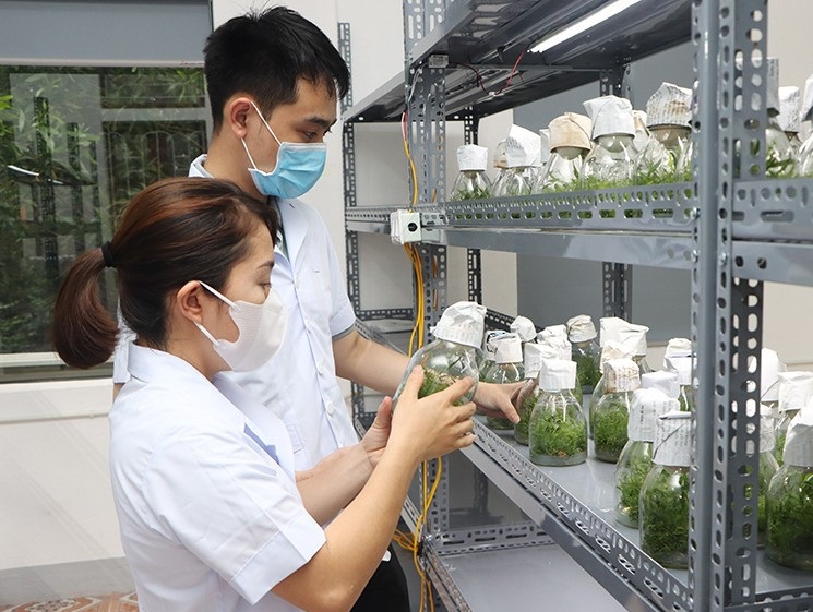 Chú trọng ứng dụng công nghệ cao vào sản xuất nông nghiệp, đời sống người dân Hà Tĩnh được nâng cao