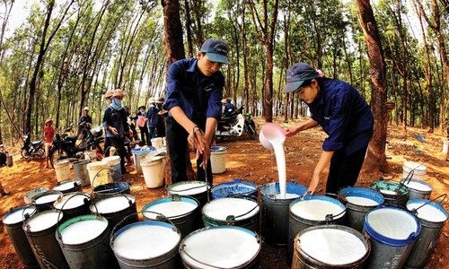 Cổ phiếu ‘vàng trắng’ ngược kỳ vọng