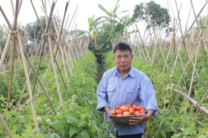 ‘Kỳ tích’ giảm nghèo của Sóc Sơn