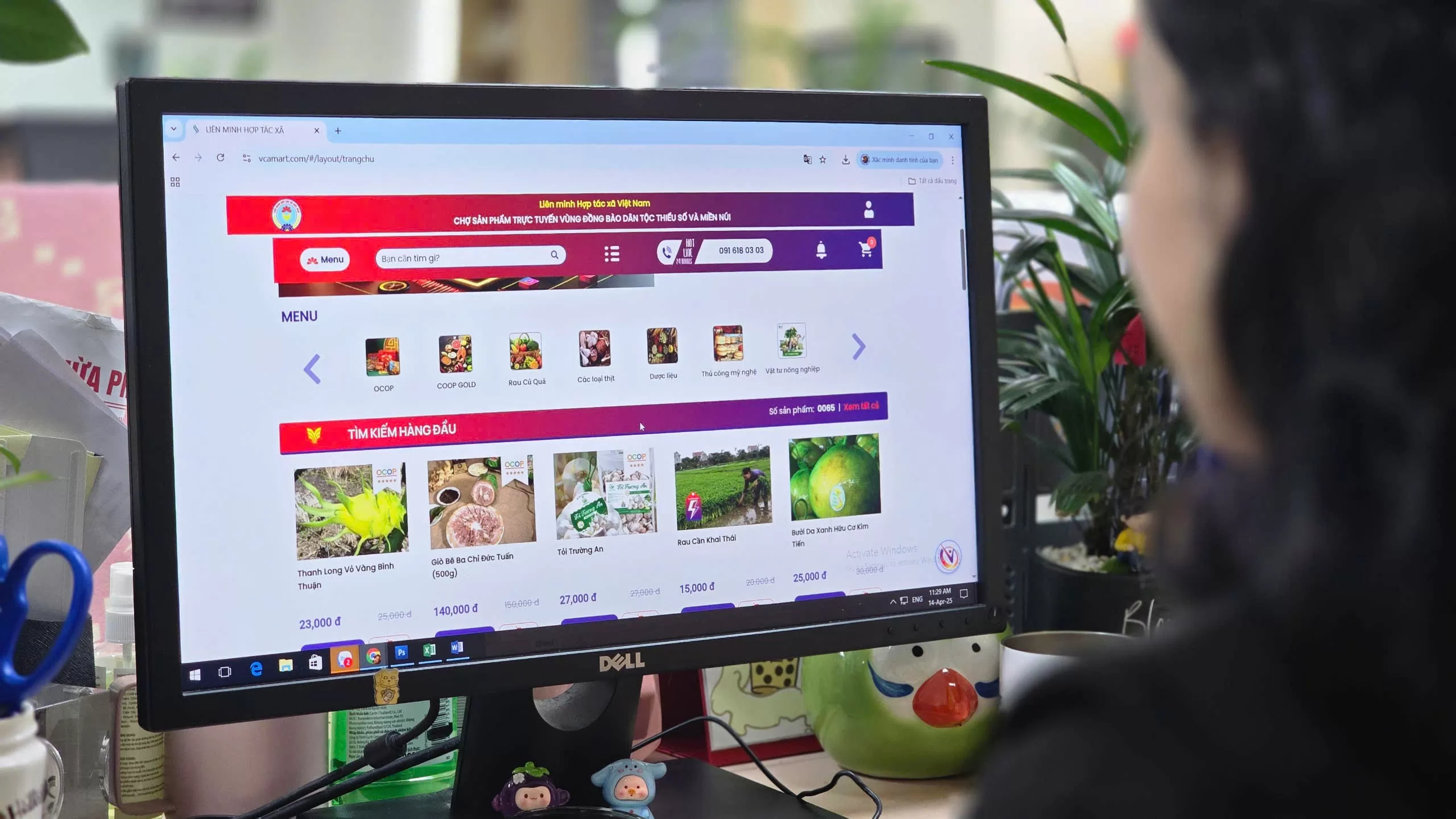 Chợ sản phẩm trực tuyến mở lối cho sản phẩm của HTX vươn ra thị trường