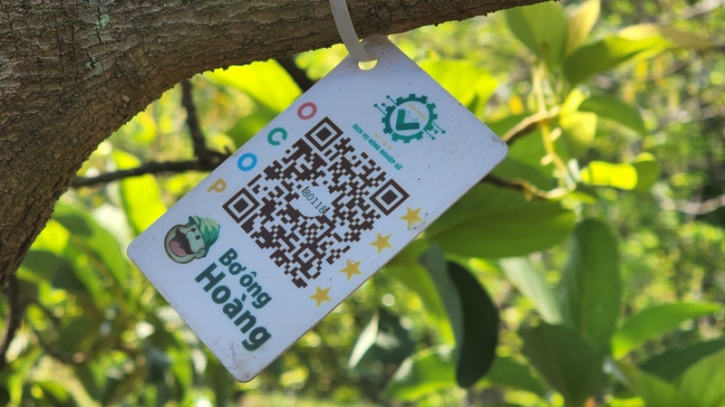 Cú hích công nghệ làm bệ phóng cho HTX vươn mình