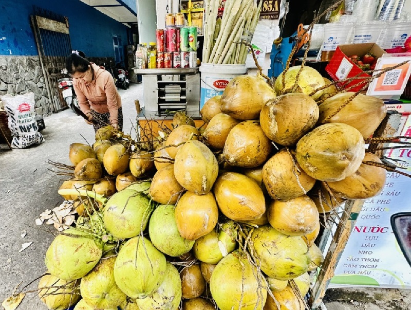 Dừa tươi tăng giá gấp đôi vẫn khan hiếm