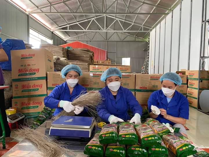 Mở cơ hội sinh kế bền vững cho người dân vùng cao
