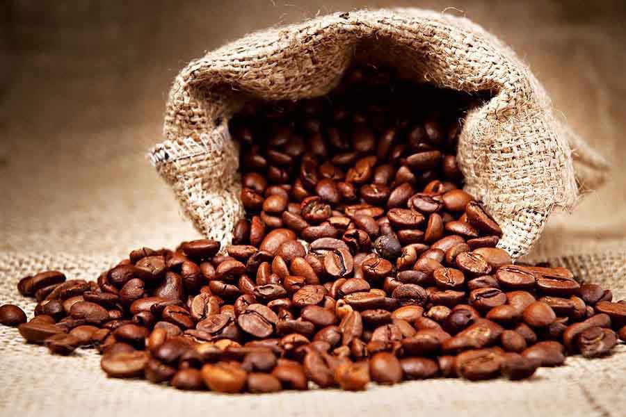 Thêm 1.700 đồng/kg, giá cà phê được dự báo tiếp tục tăng mạnh