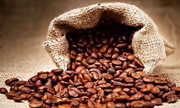 Thêm 1.700 đồng/kg, giá cà phê được dự báo tiếp tục tăng mạnh
