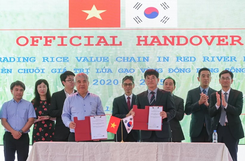 Chuỗi giá trị lúa gạo Việt Nam: Cơ hội từ mô hình Hàn Quốc, thách thức từ nội lực